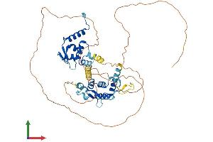 Protein Structure (PS) image for Nucleus Accumbens Associated 1, BEN and BTB (POZ) Domain Containing (NACC1) (AA 1-514) protein (His tag) (ABIN7558302)