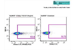Flow Cytometry (FACS) image for anti-Peroxisome Proliferator-Activated Receptor alpha (PPARA) (AA 301-400) antibody (ABIN701620)
