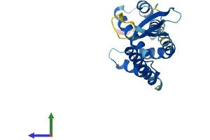 Protein Structure (PS) image for Copper Metabolism (Murr1) Domain Containing 1 (COMMD1) (AA 1-188) protein (His tag) (ABIN7564676)