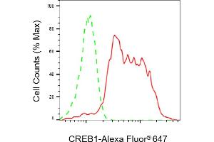 Flow cytometric analysis of CREB1 expression in HepG2 cells using CREB1 antibody (ABIN7797858), 1:2,000).