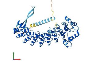 Protein Structure (PS) image for Ankyrin Repeat and SOCS Box Containing 16 (ASB16) (AA 1-453) protein (His tag) (ABIN7552346)