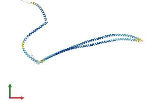 Protein Structure (PS) image for Trichoplein, Keratin Filament Binding (TCHP) (AA 1-497) protein (His tag) (ABIN7557095)