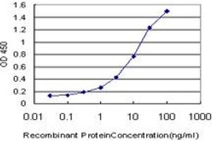 Detection limit for recombinant GST tagged IFI16 is approximately 0. (IFI16 抗体  (AA 630-729))