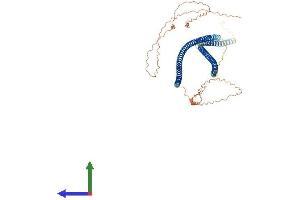 AlphaFold protein structure predicition of Human Recombinant KRT77 Protein, UniprotID Q7Z794