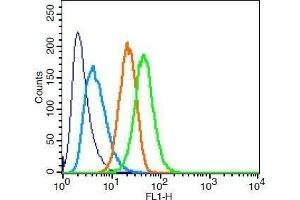 Flow Cytometry (FACS) image for anti-Signal Transducer and Activator of Transcription 3 (Acute-Phase Response Factor) (STAT3) (AA 233-330) antibody (ABIN738261)