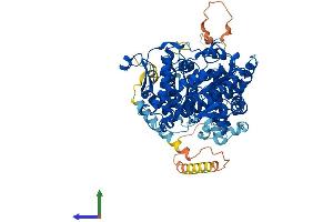 Protein Structure (PS) image for Adenosine Monophosphate Deaminase 3 (AMPD3) (AA 1-767) protein (His tag) (ABIN7552145)