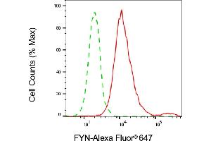 Flow cytometric analysis of FYN expression in HeLa cells using FYN antibody (ABIN7798670), 1:2,000). (FYN 抗体)