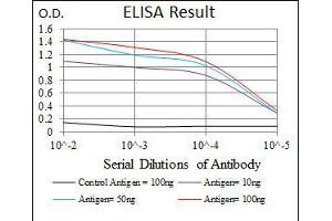 Black line: Control Antigen (100 ng), Purple line: Antigen(10 ng), Blue line: Antigen (50 ng), Red line: Antigen (100 ng), (MYF6 抗体  (AA 85-150))