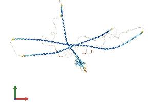 Protein Structure (PS) image for Coiled-Coil Domain Containing 88B (CCDC88B) (AA 1-1481) protein (His tag) (ABIN7563781)