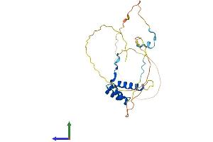Protein Structure (PS) image for NK2 Homeobox 8 (NKX2-8) (AA 1-235) protein (His tag) (ABIN7562581)