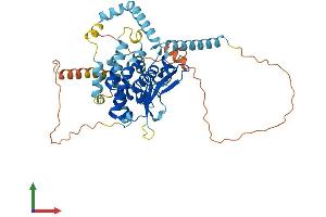 Protein Structure (PS) image for Patatin-Like phospholipase Domain Containing 3 (PNPLA3) (AA 1-481) protein (His tag) (ABIN7550739)