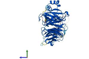 Protein Structure (PS) image for Glutamate-Rich WD Repeat Containing 1 (GRWD1) (AA 1-446) protein (His tag) (ABIN7548208)
