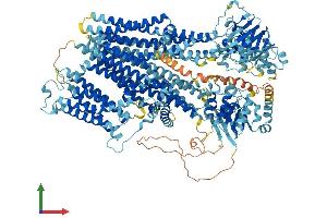 AlphaFold protein structure predicition of Mouse Recombinant Abcc9 Protein, UniprotID P70170