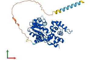 Protein Structure (PS) image for Carbohydrate Sulfotransferase 10 (CHST10) (AA 1-356) protein (His tag) (ABIN7558080)