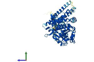 AlphaFold protein structure predicition of Mouse Recombinant Cyp4x1 Protein, UniprotID Q6A152