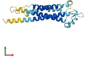 Protein Structure (PS) image for Transmembrane 4 L Six Family Member 1 (TM4SF1) (AA 1-202) protein (His tag) (ABIN7557822)