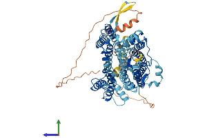 Protein Structure (PS) image for Solute Carrier Family 23 (Nucleobase Transporters), Member 2 (SLC23A2) (AA 1-648) protein (His tag) (ABIN7561384)