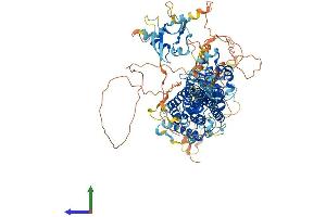Protein Structure (PS) image for Ras Interacting Protein 1 (RASIP1) (AA 1-963) protein (His tag) (ABIN7555109)