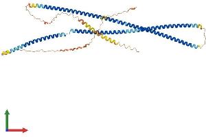 Protein Structure (PS) image for Internexin Neuronal Intermediate Filament Protein, alpha (INA) (AA 1-501) protein (His tag) (ABIN7563277)