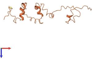 Keratin Associated Protein 4-2 (KRTAP4-2) (AA 1-136) protein (His tag)