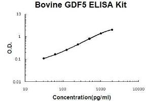 Bovine GDF5 PicoKine ELISA Kit standard curve (GDF5 ELISA 试剂盒)