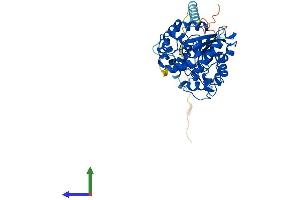 Protein Structure (PS) image for Carbohydrate (N-Acetylglucosamine 6-O) Sulfotransferase 5 (CHST5) (AA 1-411) protein (His tag) (ABIN7553469)