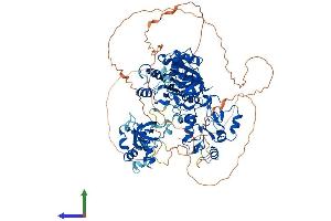 AlphaFold protein structure predicition of Human Recombinant DNMT3B Protein, UniprotID Q9UBC3
