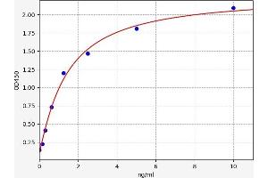 Typical standard curve (FOXC2 ELISA 试剂盒)