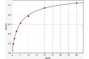 Typical standard curve (MCT3 ELISA 试剂盒)