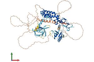 AlphaFold protein structure predicition of Human Recombinant PLEKHM3 Protein, UniprotID Q6ZWE6