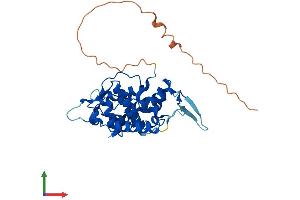 AlphaFold protein structure predicition of Mouse Recombinant Golph3 Protein, UniprotID Q9CRA5