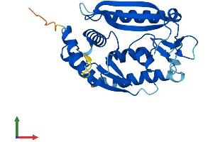 Protein Structure (PS) image for Chromosome 1 Open Reading Frame 74 (C1ORF74) (AA 1-269) protein (His tag) (ABIN7552952)