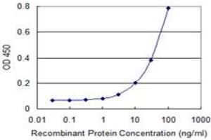 Detection limit for recombinant GST tagged SLC6A16 is 1 ng/ml as a capture antibody. (SLC6A16 抗体  (AA 406-492))
