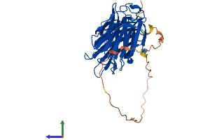 Protein Structure (PS) image for Lectin, Galactoside-Binding, Soluble, 9 (LGALS9) (AA 1-355) protein (His tag) (ABIN7554407)