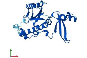 Protein Structure (PS) image for Polymerase (RNA) II (DNA Directed) Polypeptide E, 25kDa (POLR2E) (AA 1-210) protein (His tag) (ABIN7558346)