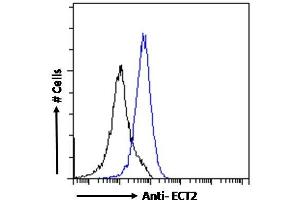 (ABIN185018) Flow cytometric analysis of paraformaldehyde fixed A431 cells (blue line), permeabilized with 0. (ECT2 抗体  (N-Term))