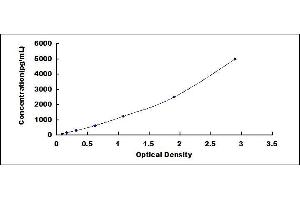 Typical standard curve (RSPO2 ELISA 试剂盒)