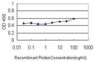 Detection limit for recombinant GST tagged LIPA is approximately 10ng/ml as a capture antibody. (Lipase A 抗体  (AA 1-399))