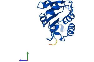 AlphaFold protein structure predicition of Human Recombinant FUOM Protein, UniprotID A2VDF0