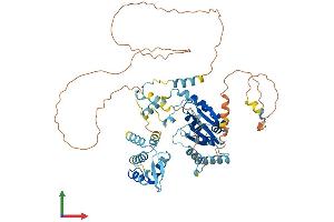 Protein Structure (PS) image for Origin Recognition Complex Subunit 2 (ORC2) (AA 1-577) protein (His tag) (ABIN7554821)