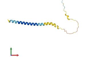 AlphaFold protein structure predicition of Human Recombinant LST1 Protein, UniprotID O00453