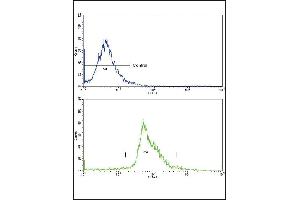 Flow Cytometry (FACS) image for anti-Paired Box 4 (PAX4) (AA 171-200) antibody (ABIN390643)