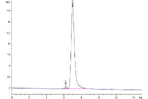 The purity of Mouse ITGAV&ITGB3 is greater than 95 % as determined by SEC-HPLC. (CD51/CD61 Protein (AA 31-988) (His tag))