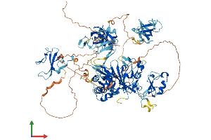 Protein Structure (PS) image for Cylindromatosis (Turban Tumor Syndrome) (CYLD) (AA 1-956) protein (His tag) (ABIN7553609)