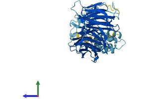 Protein Structure (PS) image for F-Box and WD Repeat Domain Containing 2 (FBXW2) (AA 1-454) protein (His tag) (ABIN7547629)