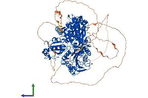 Protein Structure (PS) image for SEC24 Family, Member C (SEC24C) (AA 1-1094) protein (His tag) (ABIN7555413)