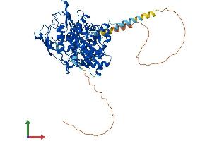 Protein Structure (PS) image for ARP8 Actin-Related Protein 8 Homolog (ACTR8) (AA 1-624) protein (His tag) (ABIN7564693)