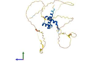 Protein Structure (PS) image for Homeobox B13 (HOXB13) (AA 1-286) protein (His tag) (ABIN7556693)