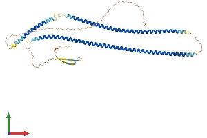 Protein Structure (PS) image for Cytokeratin 28 (KRT28) (AA 1-462) protein (His tag) (ABIN7562000)
