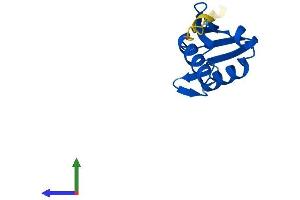 AlphaFold protein structure predicition of Human Recombinant RPL22L1 Protein, UniprotID Q6P5R6